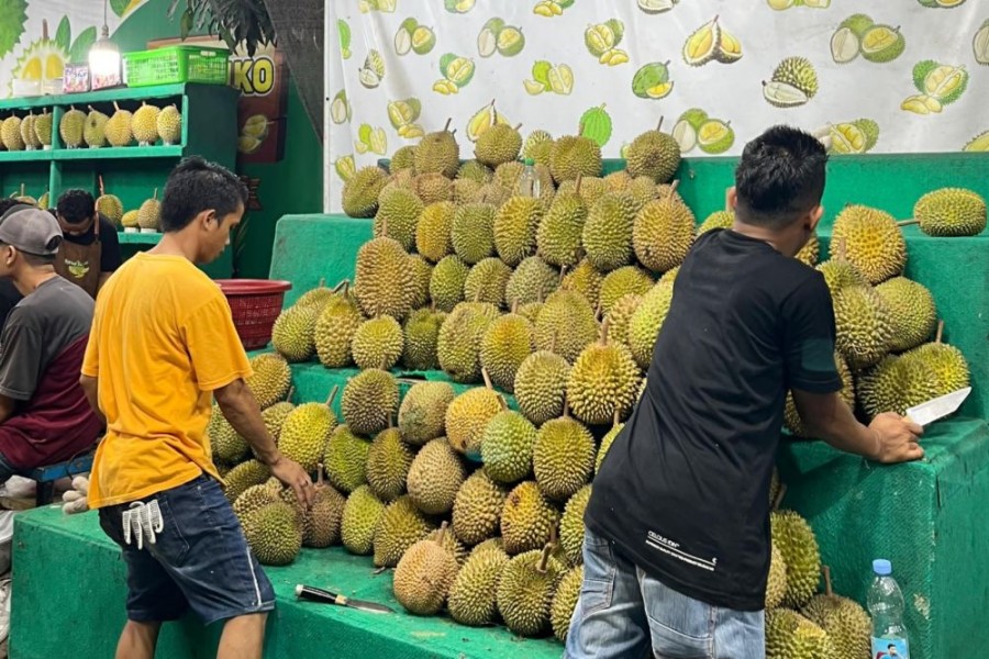Pekanbaru jadi Surga Durian