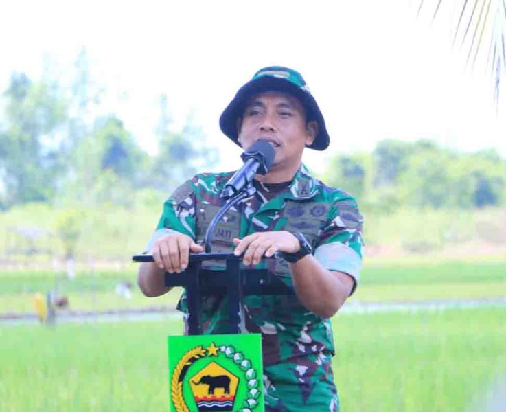 Wujudkan Swasembada Pangan, TNI dan Pemkab Inhil Tanam Padi Bersama