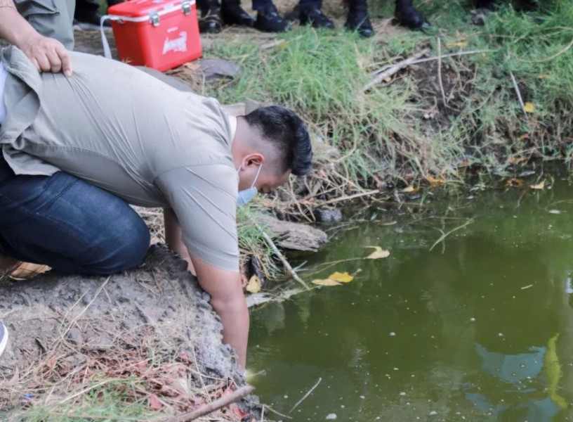 Lahan Sawah di Jember Diduga Tercemar Limbah, Pemkab Lakukan Uji Sampel