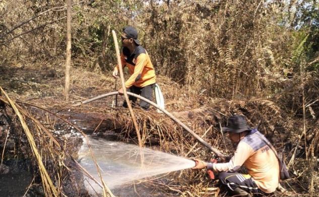 Enam Titik Karhutla Terpantau di Riau, Pemadaman Gencar Dilakukan dari Darat dan Udara