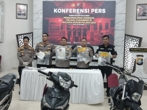 Mobil Pegawai RSUD Selasih Dicuri di Parkiran, Pelaku Ditangkap Polisi