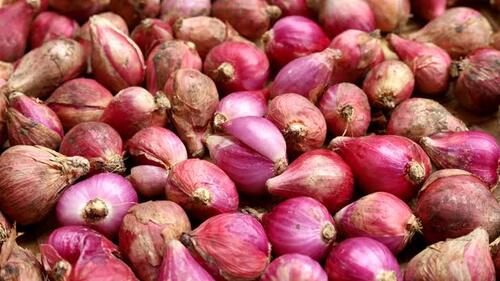 Harga Bawang Merah di Pekanbaru Meroket, Tembus Rp57 Ribu per Kilogram