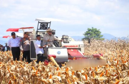 Produksi Pangan Naik, Presiden Prabowo Pastikan Indonesia Siap Swasembada