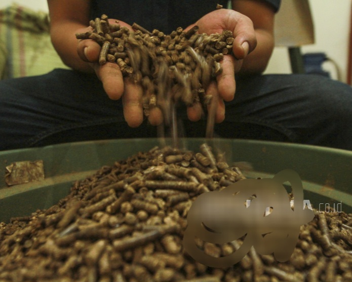 Ombudsman: Implementasi Biomassa di Sektor Listrik Belum Optimal, Berpotensi Maladministrasi