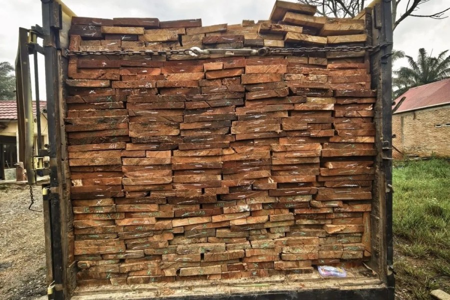 Polda Riau Bekuk Pengangkut Kayu Tanpa Izin di Rohul