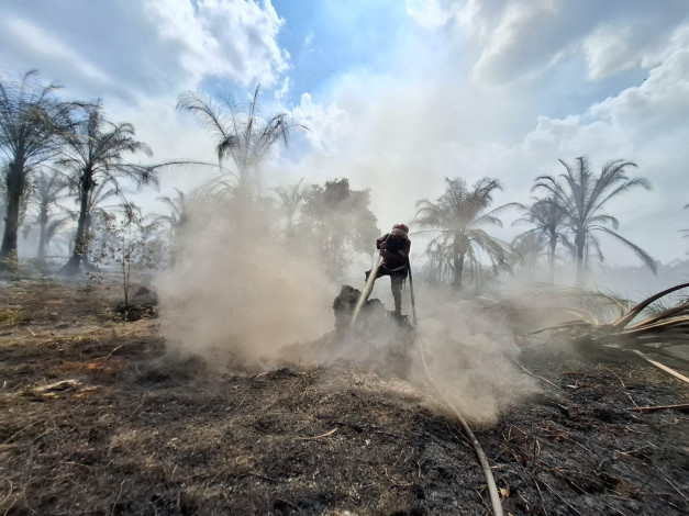 Pasca Terbakar 151,4 Ha di Siak, Beredar Surat PT BMI Serahkan Lahan ke Satgas PKH