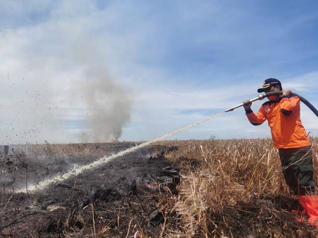 Karhutla Membara di Riau: Rohil Paling Luas, Petugas Kesulitan Padamkan Api