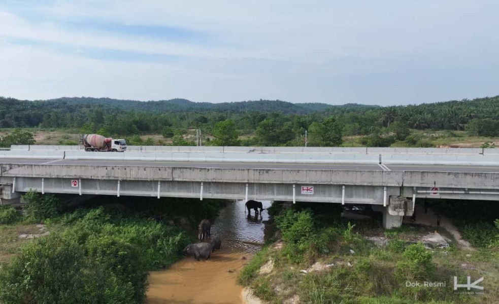 Harmoni Pembangunan dan Konservasi, Hutama Karya Hadirkan Underpass Gajah Sumatra di Tol Pekanbaru - Dumai