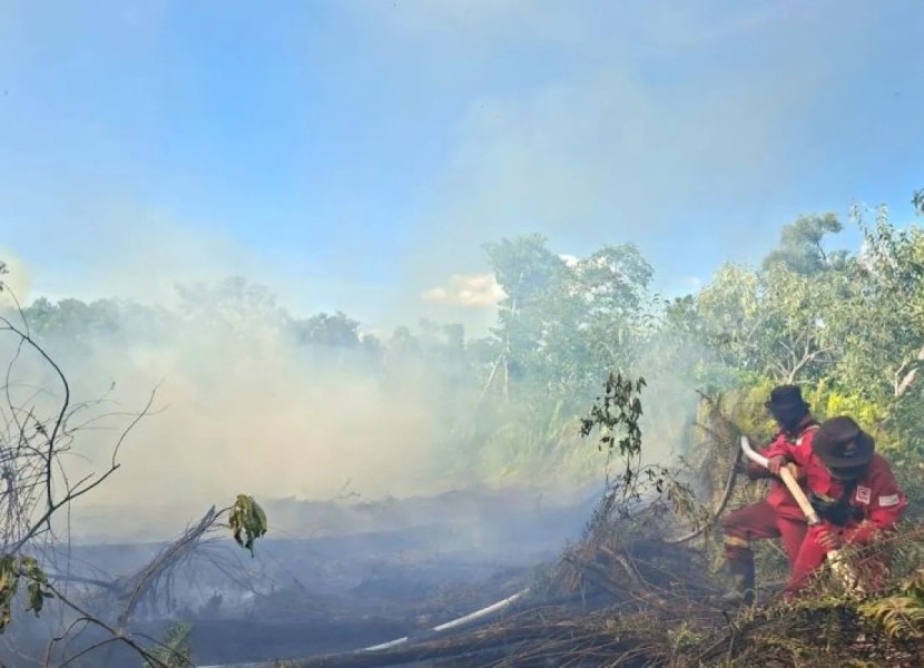 Manggala Agni berjibaku padamkan karhutla ratusan Hektare di Riau