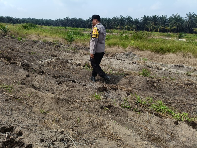 Polsek Kandis dan Kelompok Tani Bersinergi Wujudkan Ketahanan Pangan