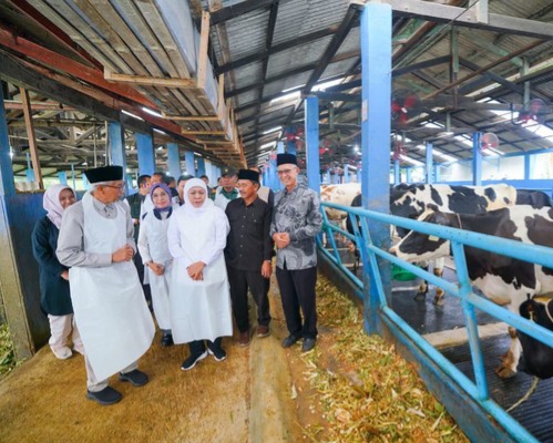 Khofifah Dorong Susu Sapi dari Pasuruan Penuhi Kebutuhan Lokal-Ekspor