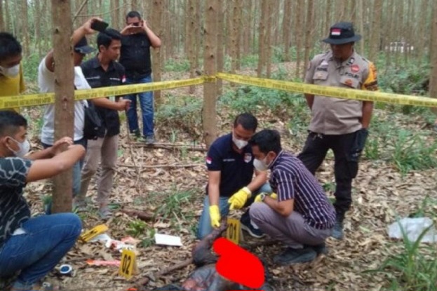 Mayat Mr. X Membusuk Ditemukan di Konsesi HTI Pangkalan Gondai, Pelalawan