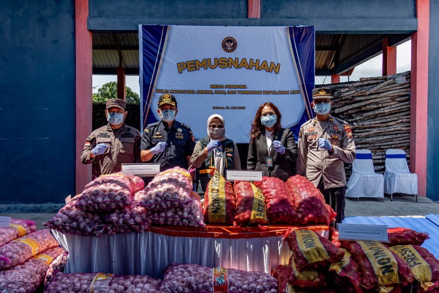 Karantina Kepri dan Bea Cukai Bersinergi Musnahkan Komoditas Ilegal