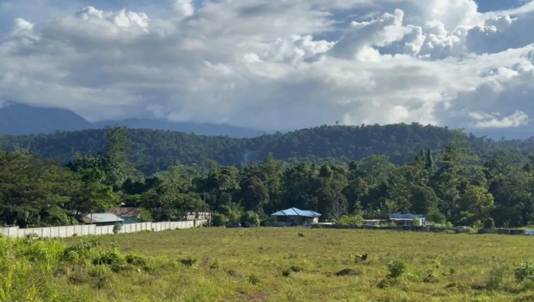 Kemensos akan bangun Sekolah Rakyat Terpadu di Manokwari