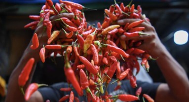 Bapanas Targetkan Harga Cabai Rawit Turun di Pekan Ketiga Ramadan