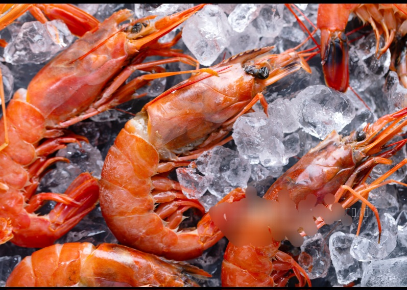 Udang dan Rempah Tercemar Cesium-137, BPOM 'Gercep' Cegah Bahaya di Makanan