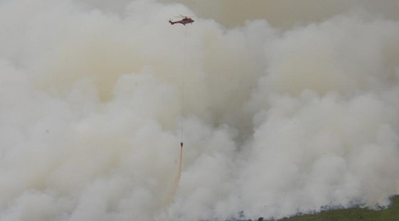107 Hektare Lahan Terbakar di Riau, Bengkalis Terluas
