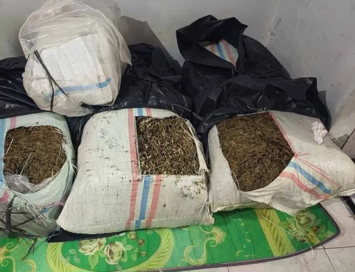 Polda Aceh Gagalkan Peredaran 50 Kilogram Ganja di Bireuen