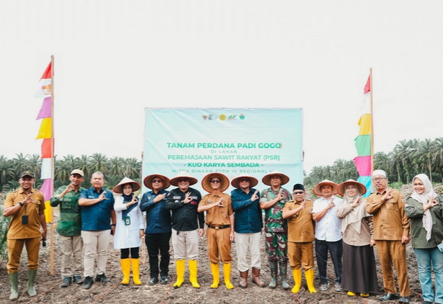 Akselerasi Swasembada Pangan, PTPN IV PalmCo Perluas Program 