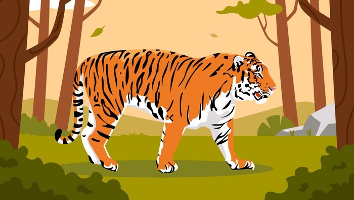 Petani Kopi di Lampung Tewas Diserang Harimau, Jasadnya Tak Utuh