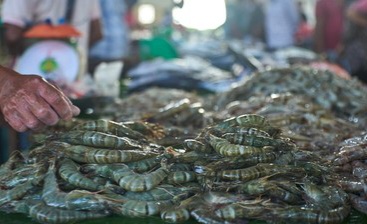 20 Kontainer Udang Beku RI Senilai Rp63,4 M Sempat Tertahan di AS