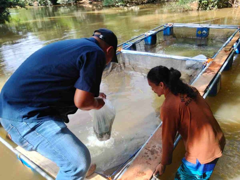 PTPN IV Regional III Stimulus Pemuda Tandun Kelola Potensi Sungai Tapung Wujudkan Kemandirian Ekonomi