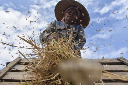 Konsorsium Lintar Sektor Dukung Petani Kecil Indonesia Hadapi Krisis Iklim