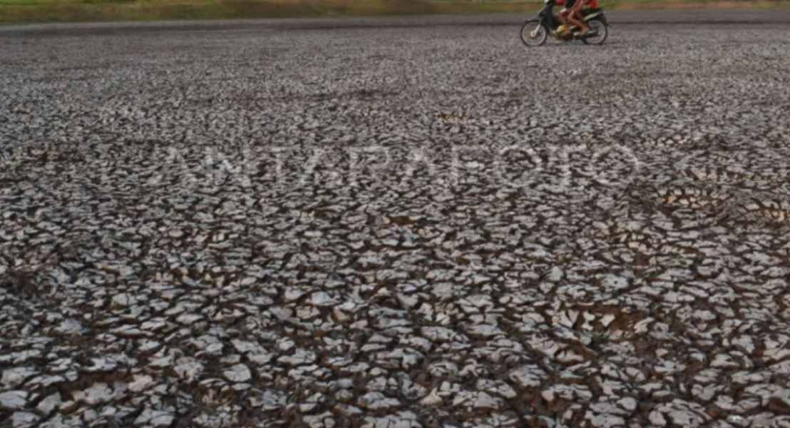BPBD Madiun petakan wilayah rawan kekeringan hadapi kemarau 2026