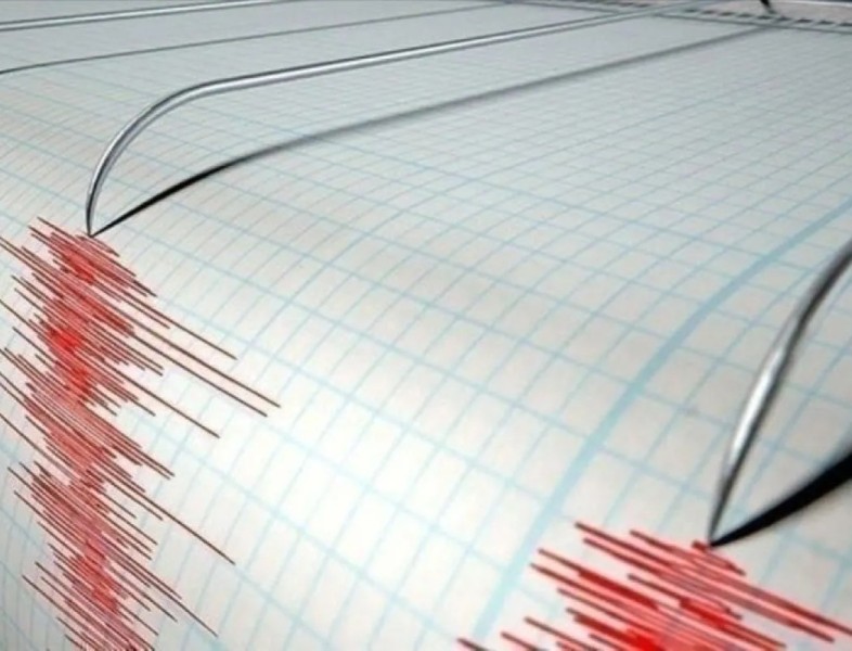 Kemlu RI sebut tidak ada laporan WNI terdampak gempa di Selandia Baru