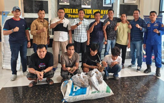Polisi Gagalkan Penyelundupan 29 Kg Sisik Tenggiling di Jambi