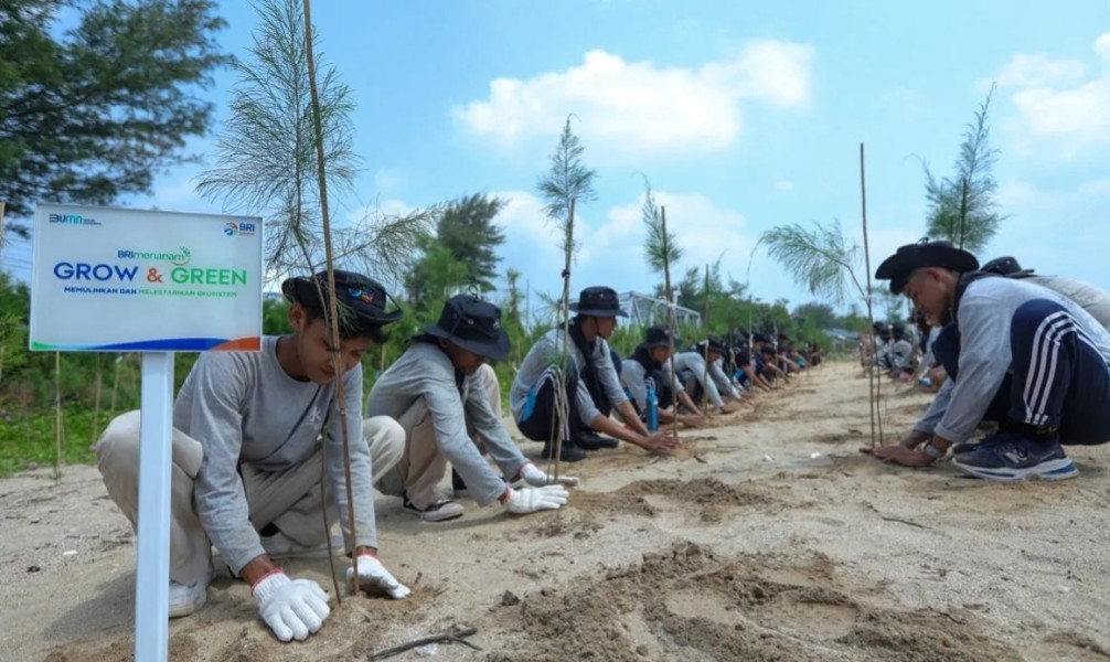BRI Pertegas Komitmen Dalam Menjaga Ekosistem Lingkungan Melalui BRI Menanam -- Grow & Green