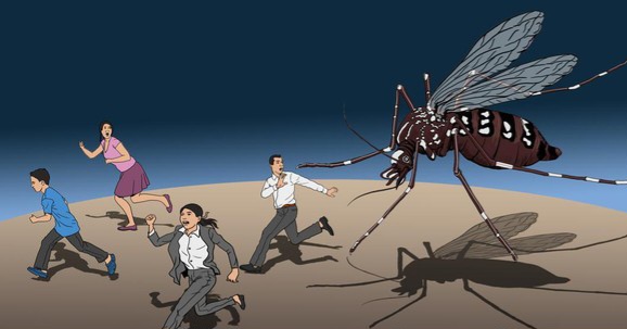 Sebanyak 46 Kasus DBD Terdeteksi di Awal 2026, 3 Kecamatan Palembang Zona Merah