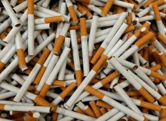 Ribuan Dus Rokok tanpa Cukai Diamankan dari Pasar Tradisional Paluta