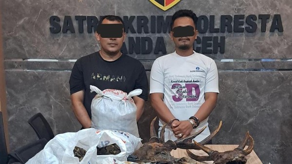 Polisi Tangkap 2 Pria di Aceh Jual Beli Organ Tubuh Satwa Dilindungi