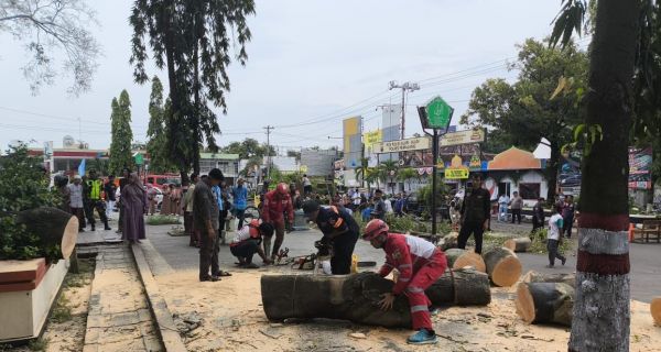 Kronologi Pohon Raksasa Timpa Jemaah Salat Idulfitri di Pemalang, 2 Meninggal, 11 Luka