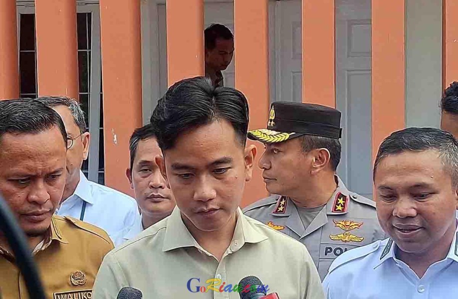 Wapres Gibran Tegaskan Pentingnya Penegakan Hukum untuk Pelaku Karhutla di Riau