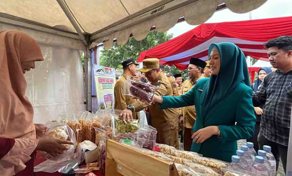 Kader Posyandu Pekanbaru Bergerak Cepat Data Anak Putus Sekolah, Sulastri Agung: Belasan Sudah Terdata