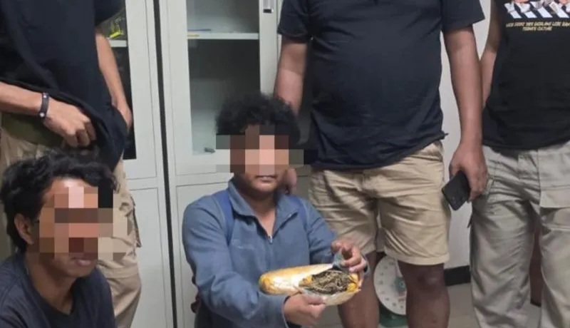 Polda Malut Gagalkan Peredaran Ganja 545 Gram di Halteng