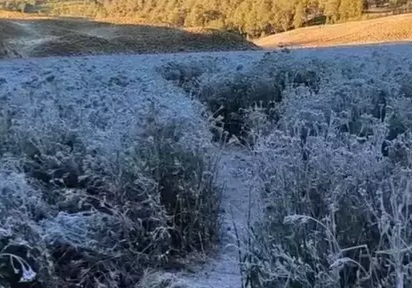 Fenomena Embun Beku Muncul di 3 Ranu Semeru
