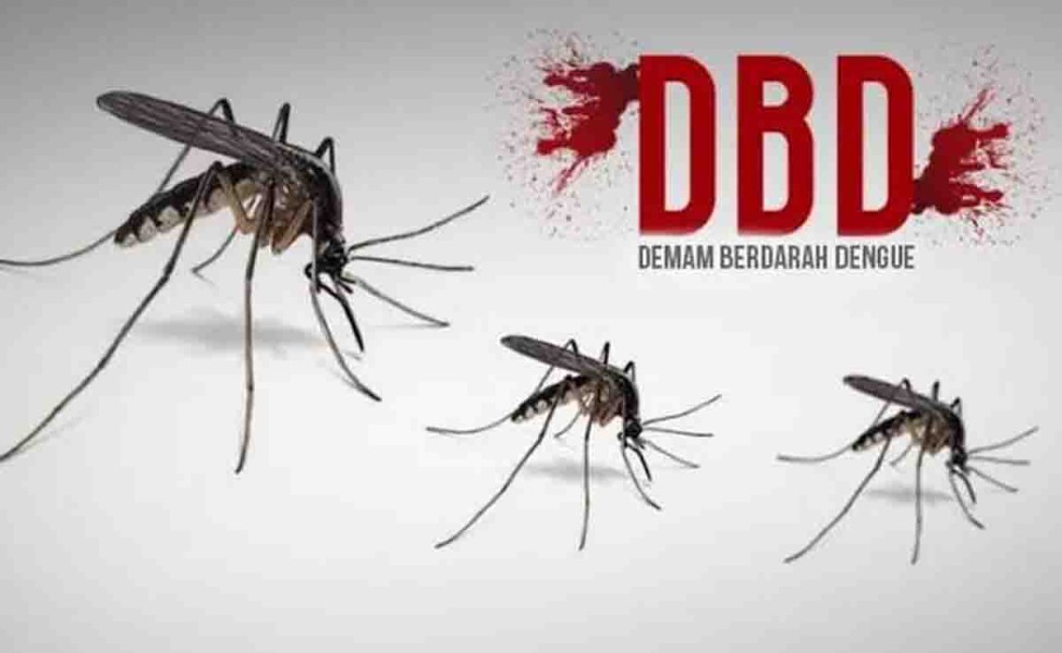 Meningkat Tajam, Kasus DBD di Kepulauan Meranti Tembus 98 Kasus