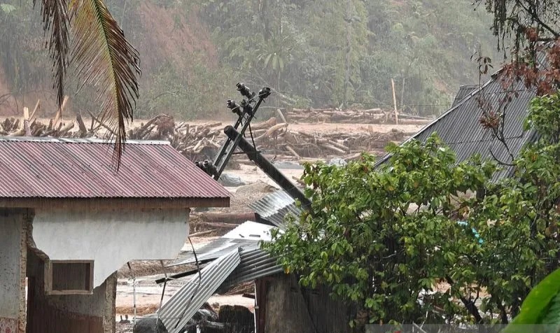 Menteri LH: Gugat Korporasi, Negara Ingin Pemulihan Penuh Lingkungan