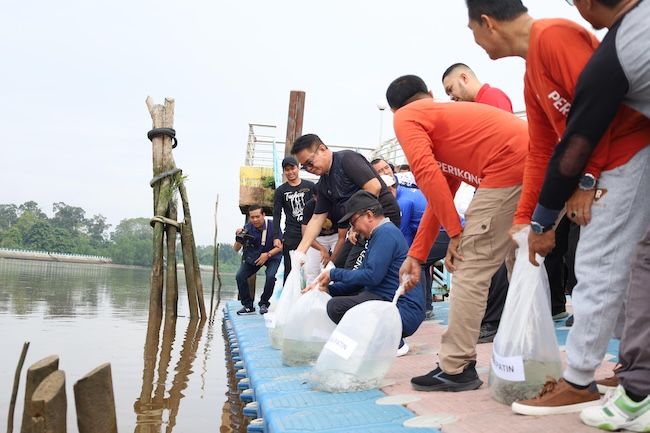 Pemkab Tebar 20 Ribu Benih Ikan Patin untuk Lestarikan Sungai Siak