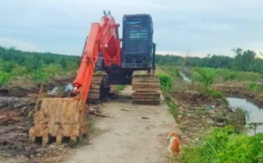 Hutan Mangrove Pulau Jemur Dirusak, Penghulu Lapor Polisi