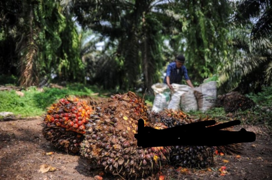 Kembangkan Ekonomi Sirkular, PTPN III Luncurkan Aplikasi Eco Cycle