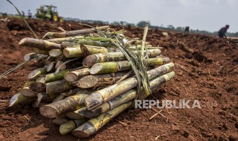 Bapanas Bantu Jaga Kestabilan Ekosistem Gula Dalam Negeri