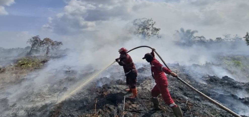 Bukan Water Bombing, Ini Langkah yang Diandalkan KLH Cegah Karhutla