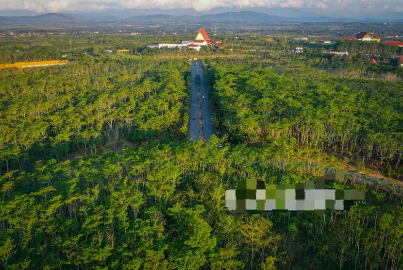 Indonesia–FAO Sepakati Penguatan Program Kehutanan di COP30