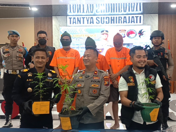 Polisi Gerebek Rumah di Rupat, Temukan Delapan Pot Diduga Tanaman Ganja