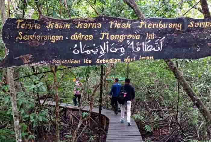 Peluang Baru untuk Pengembangan Pariwisata Bengkalis,  Ekowisata Mangrove Sungai Liong