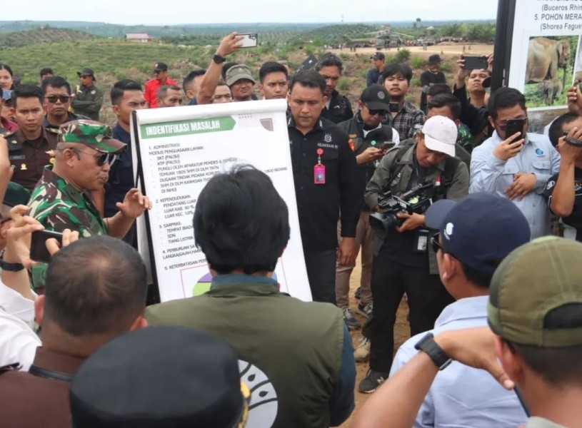 Satgas PKH Tertibkan Kawasan Hutan Konservasi Tesso Nilo